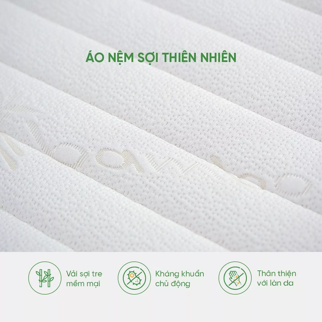 Nệm cao su Gummi 7zones nhập khẩu dày 12cm - Ảnh 5
