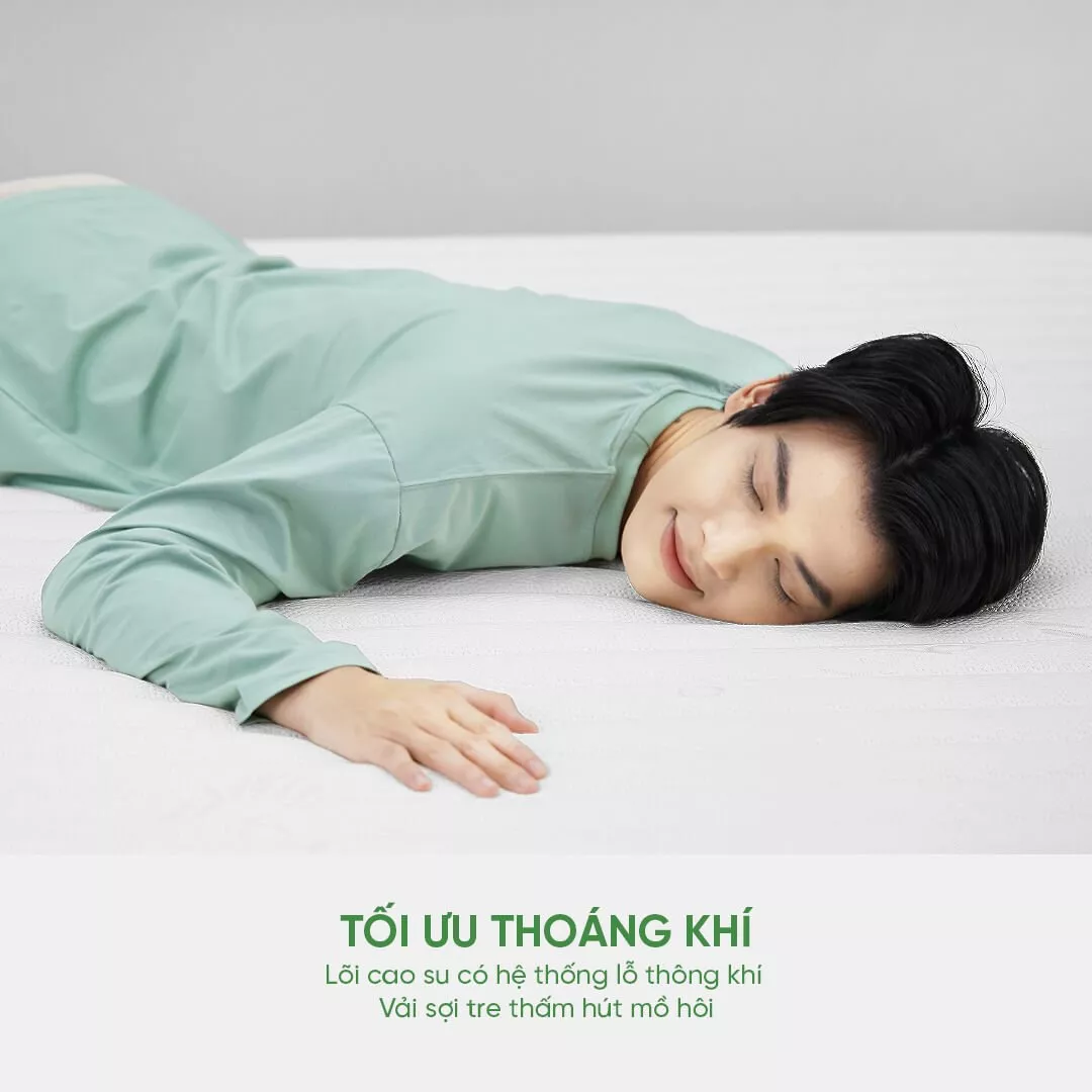 Nệm cao su Gummi 7zones nhập khẩu dày 12cm - Ảnh 8