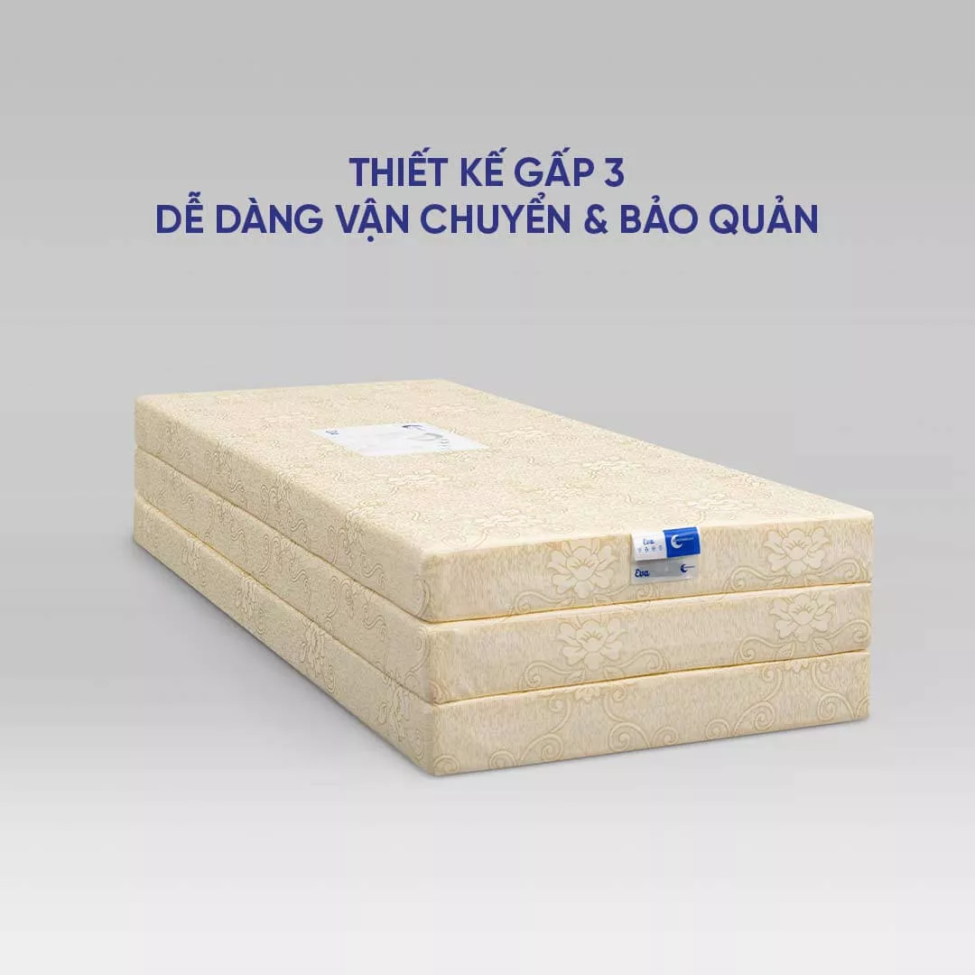 Nệm foam Goodnight Eva gấp 3 nâng đỡ dày 10cm - Ảnh 4