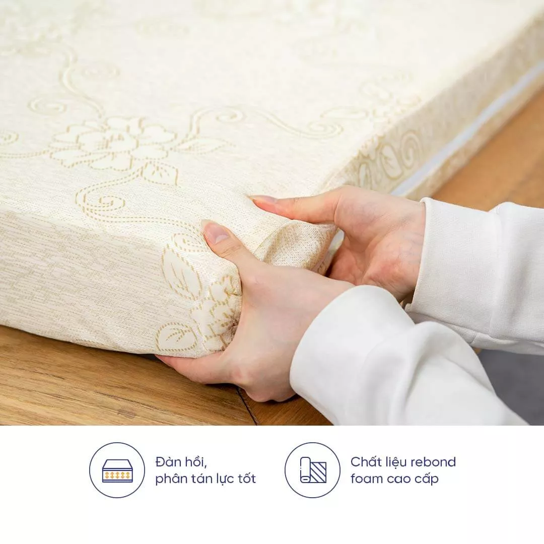Nệm foam Goodnight Eva gấp 3 nâng đỡ dày 10cm - Ảnh 7