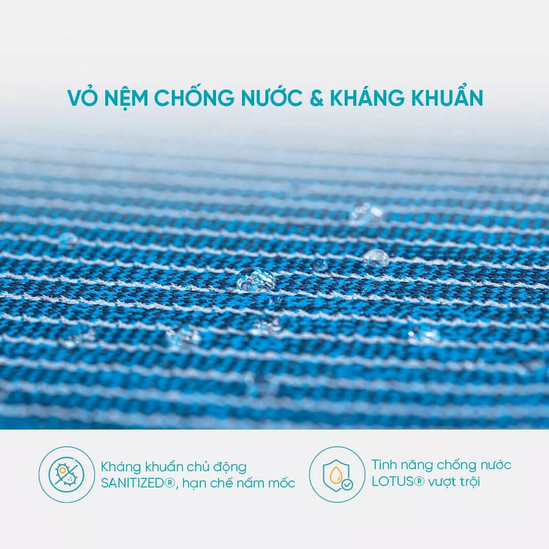 Nệm foam Nhật Bản Aeroflow Pride bảo vệ cột sống dày 22cm - Ảnh 4