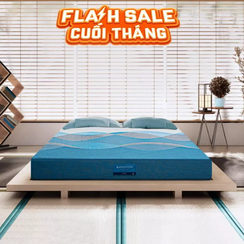 Nệm foam Nhật Bản Aeroflow Pride bảo vệ cột sống dày 22cm - Ảnh 2