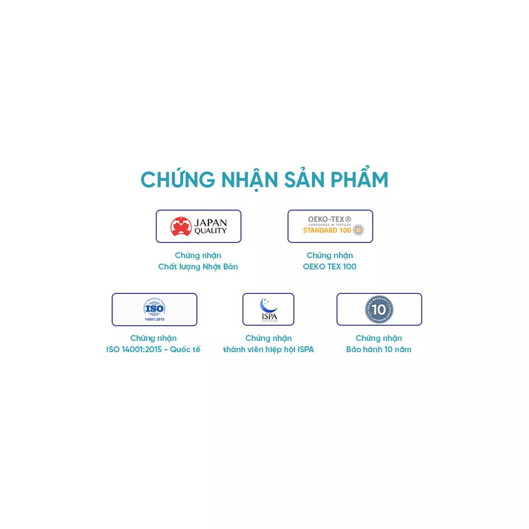 Nệm foam Nhật Bản Aeroflow Pride bảo vệ cột sống dày 22cm - Ảnh 11