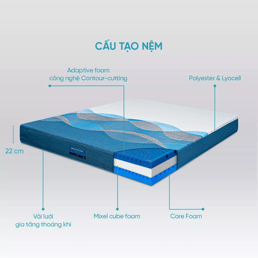 Nệm foam Nhật Bản Aeroflow Pride bảo vệ cột sống dày 22cm - Ảnh 3