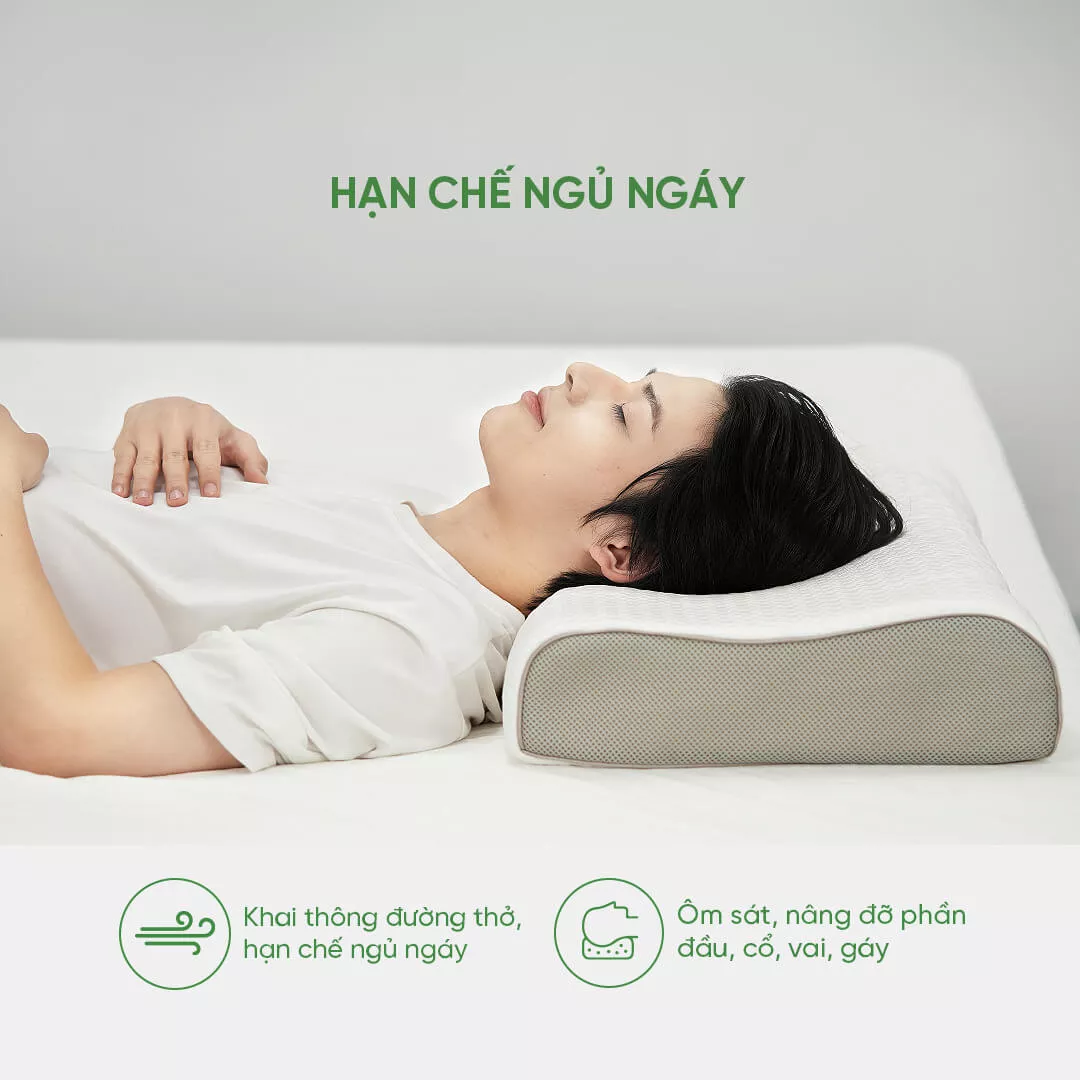 Gối cao su Gummi Contour Massage 100% thiên nhiên công thái học - Ảnh 6