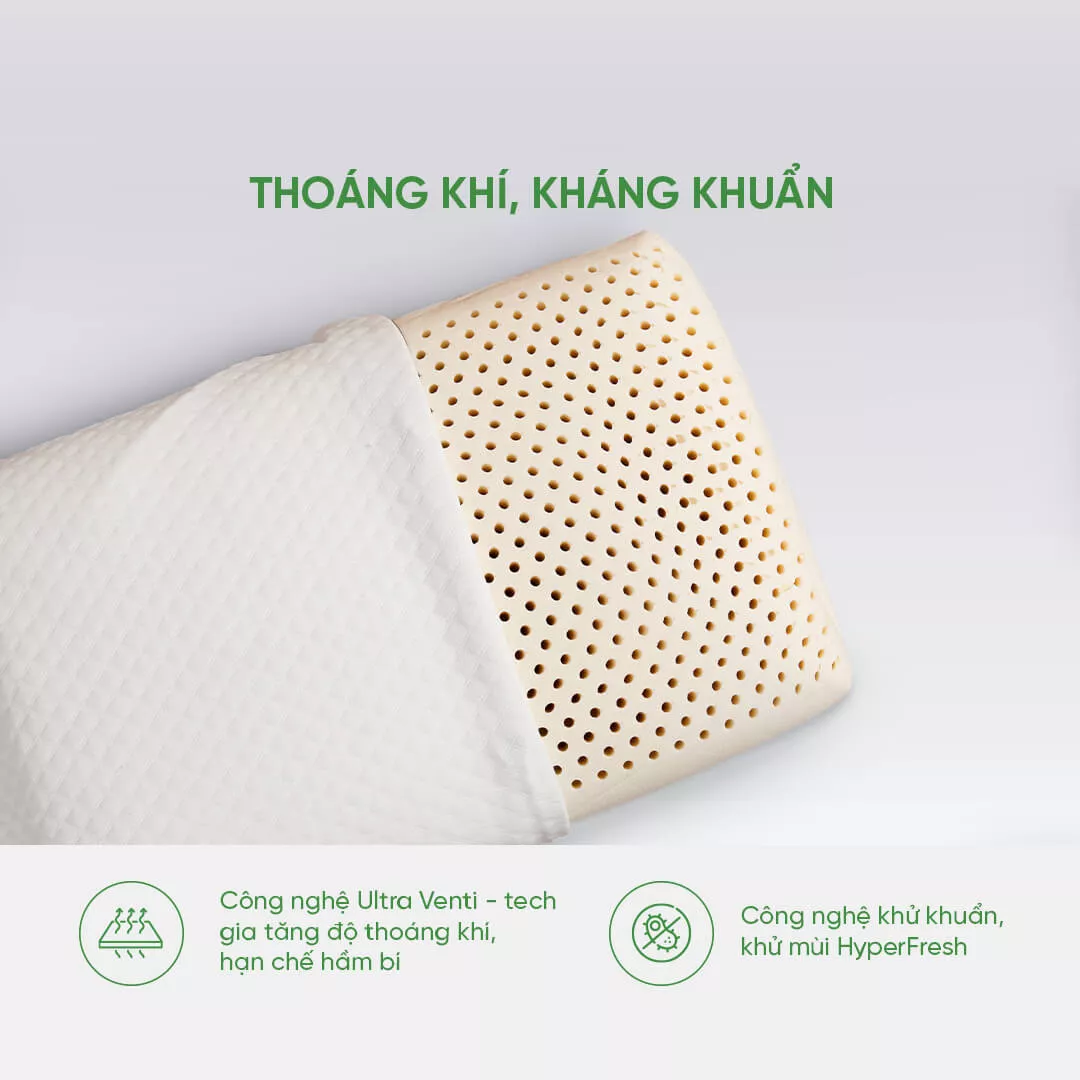Gối cao su Gummi Standard 100% thiên nhiên thoáng khí - Ảnh 6