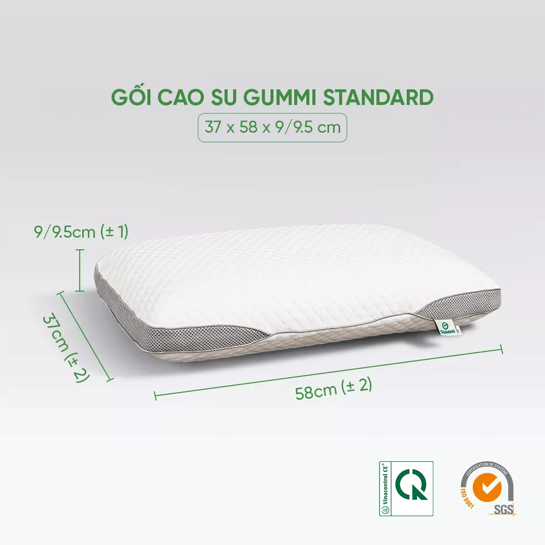 Gối cao su Gummi Standard 100% thiên nhiên thoáng khí - Ảnh 2