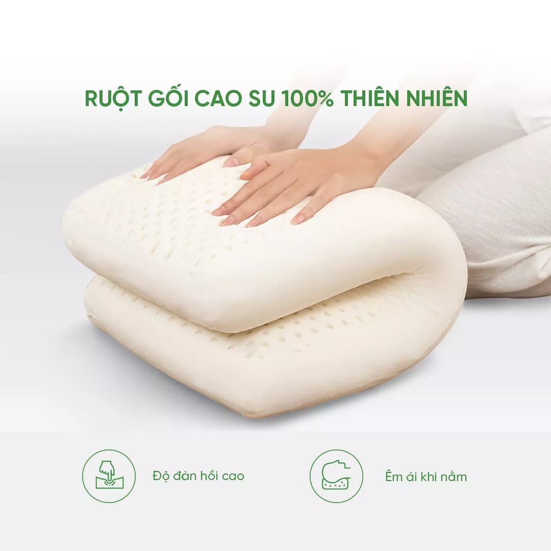 Gối cao su Gummi Standard 100% thiên nhiên thoáng khí - Ảnh 5