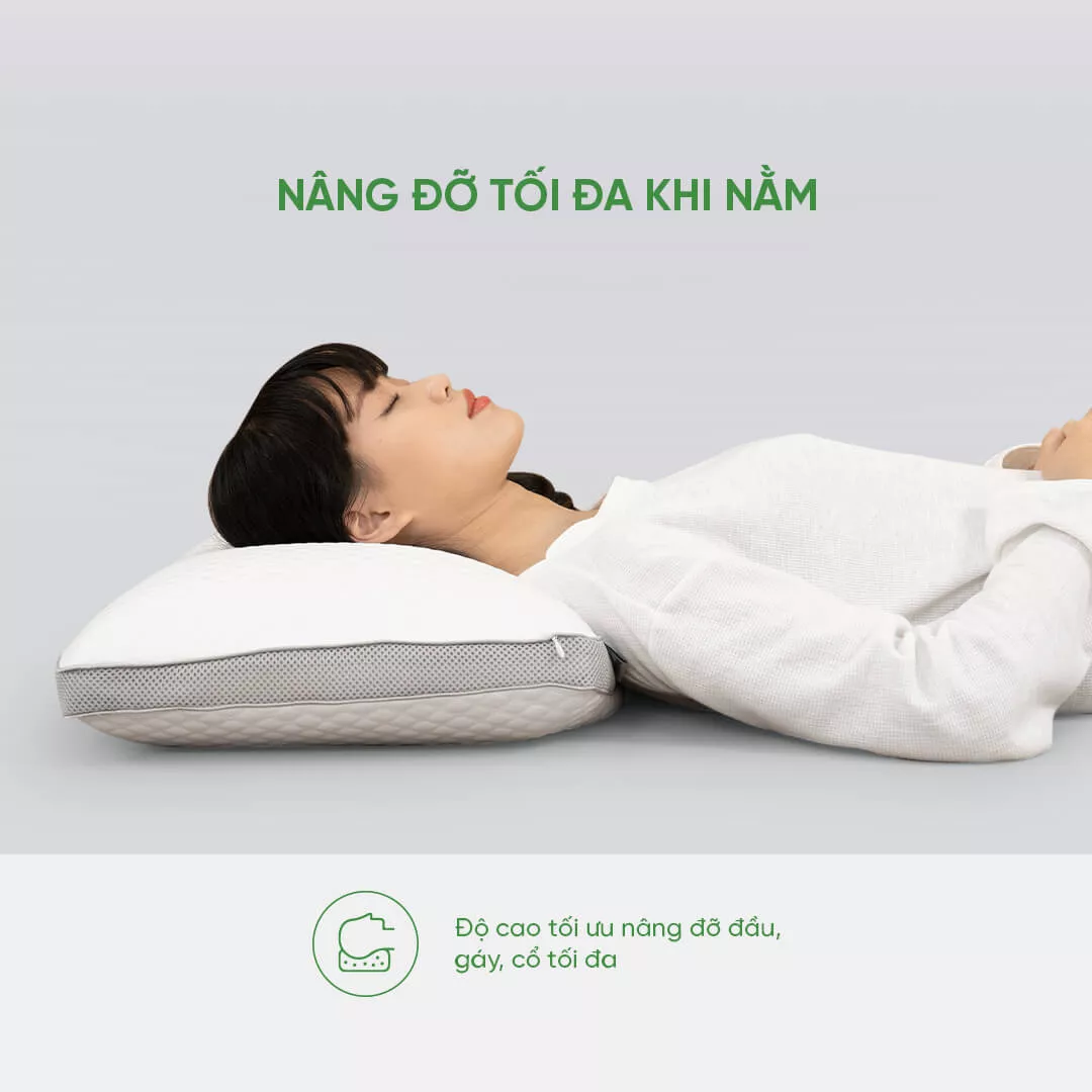 Gối cao su Gummi Standard 100% thiên nhiên thoáng khí - Ảnh 7