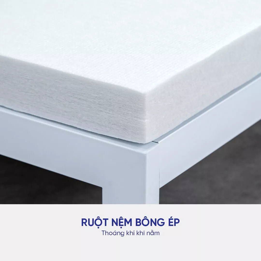 Nệm bông ép Goodnight Nova gấp 3 dày 5/9cm - Ảnh 7