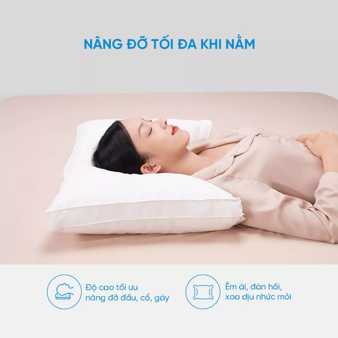 Gối lông vũ Doona Sandwich cao cấp kháng khuẩn - Ảnh 7