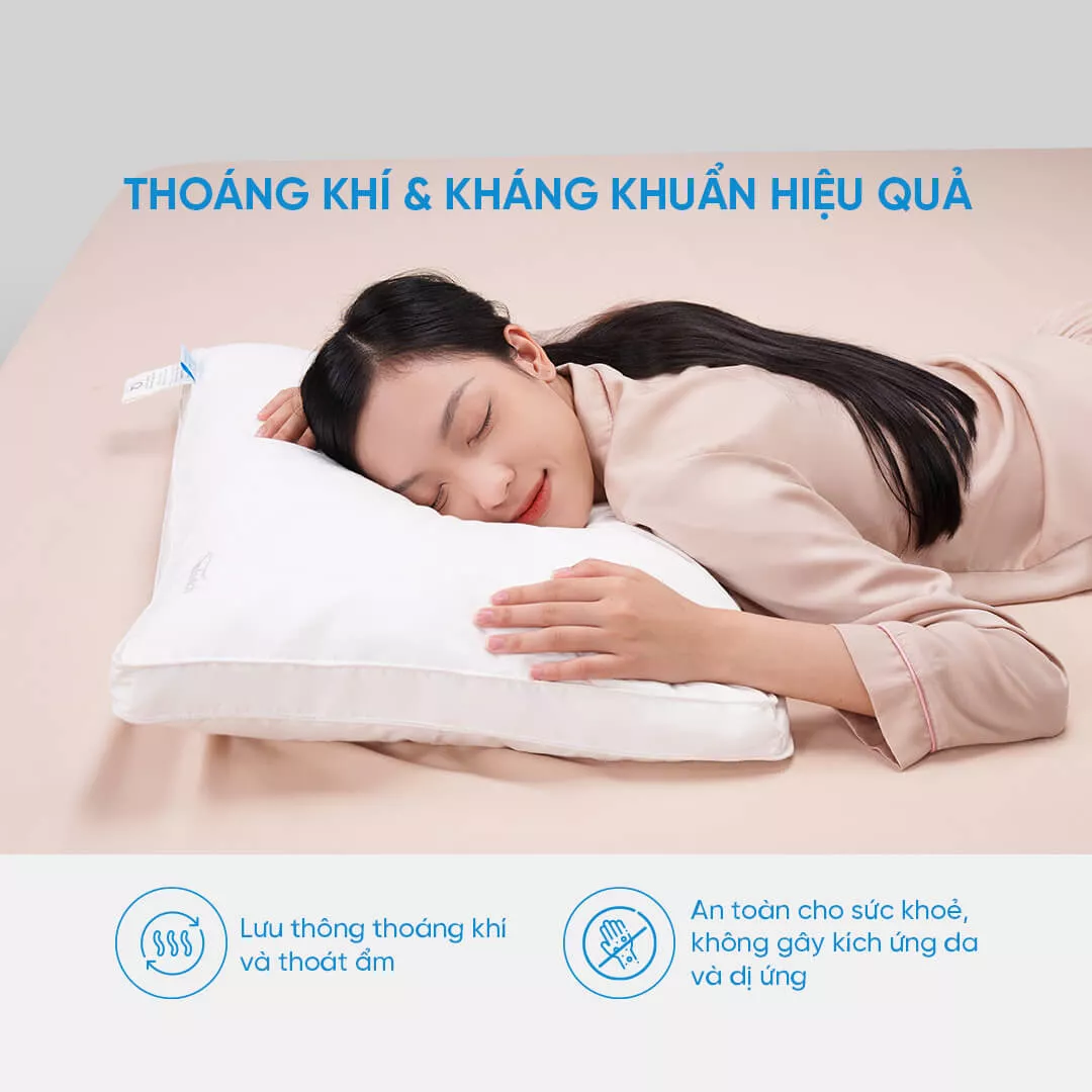 Gối lông vũ Doona Sandwich cao cấp kháng khuẩn - Ảnh 5