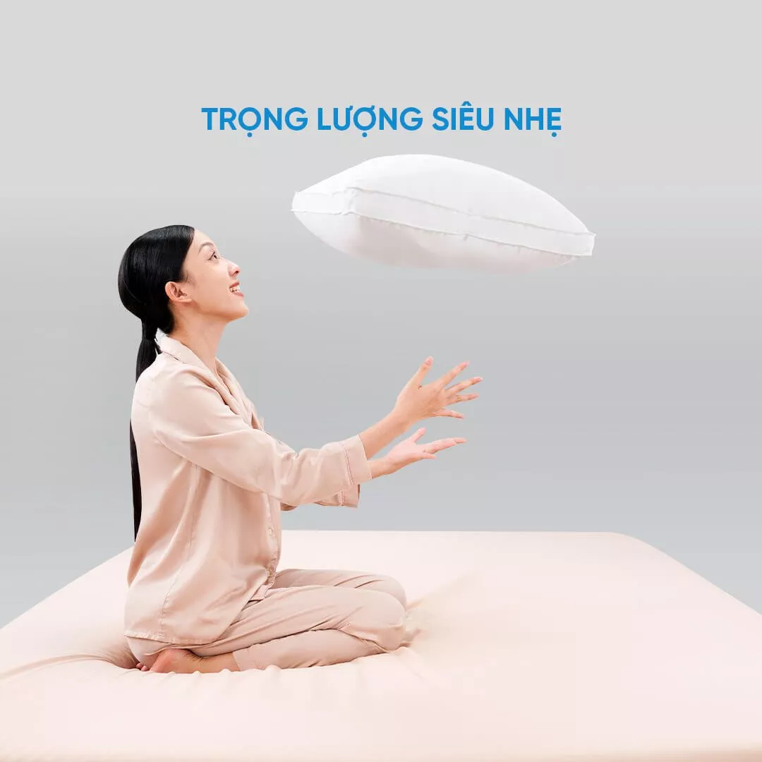 Gối lông vũ Doona Sandwich cao cấp kháng khuẩn - Ảnh 6