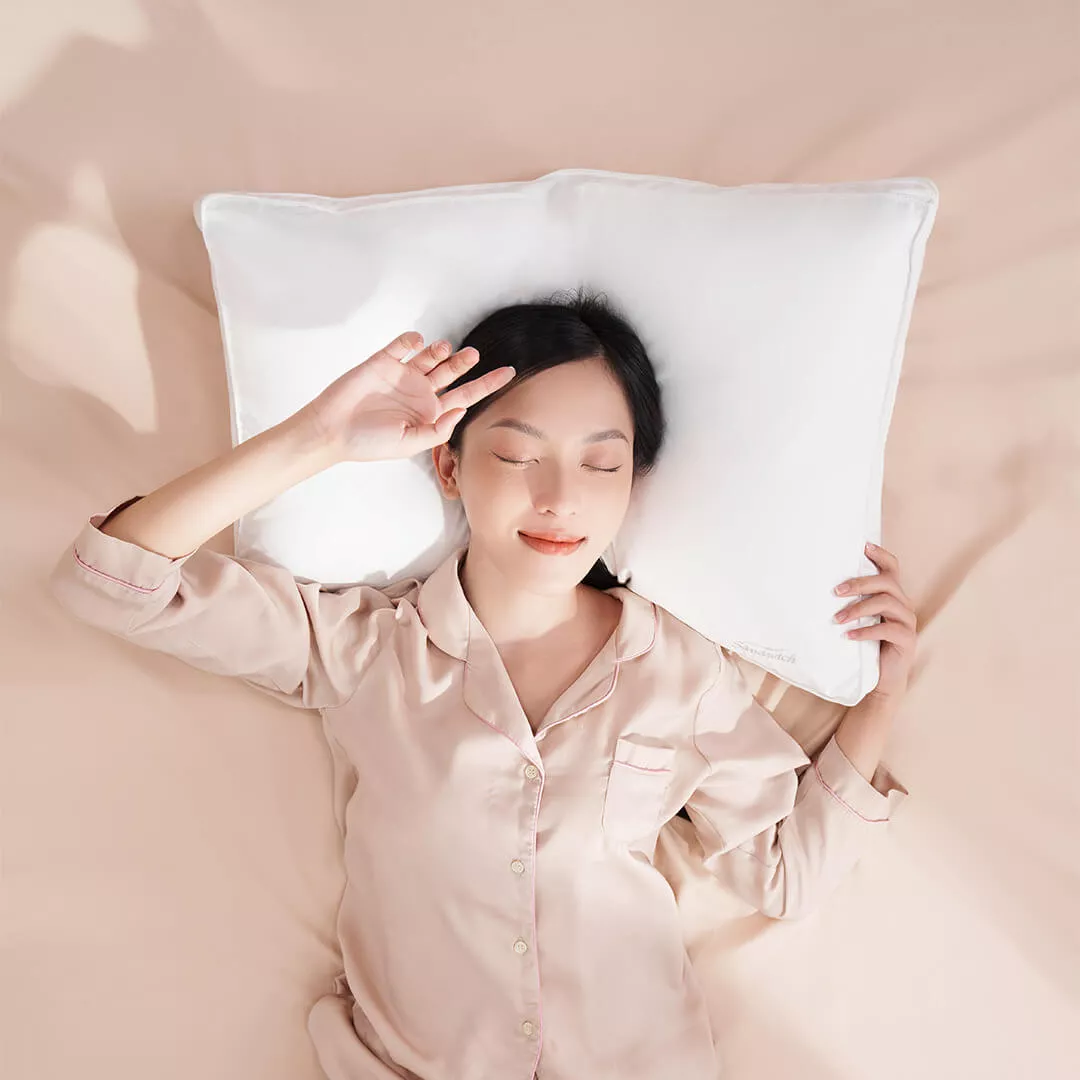 Gối lông vũ Doona Sandwich cao cấp kháng khuẩn - Ảnh 8