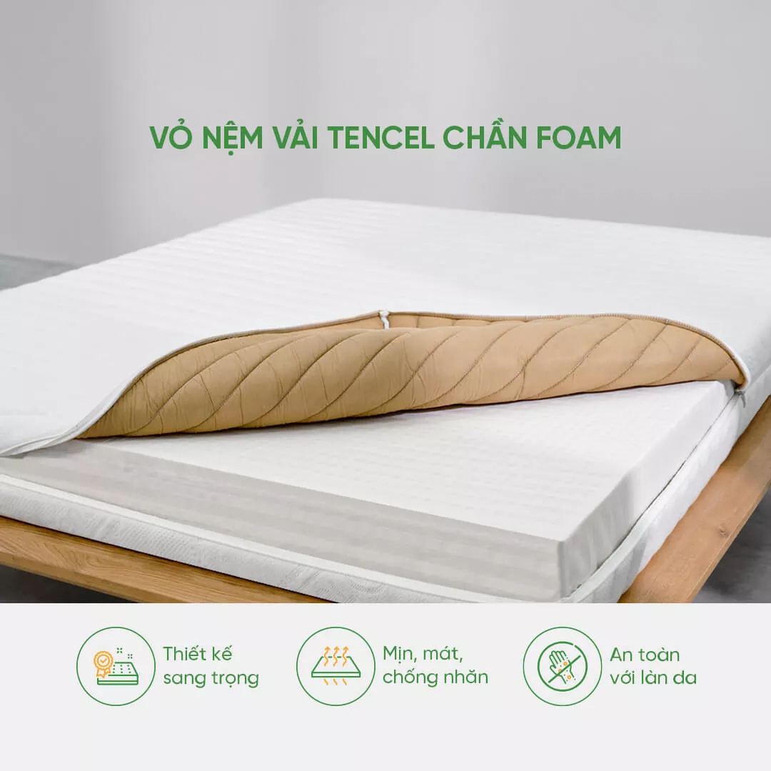 Nệm cao su cao cấp Gummi Legend nhập khẩu dày 20cm - Ảnh 4