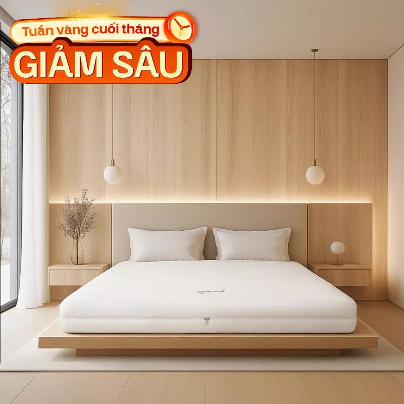 Nệm cao su cao cấp Gummi Legend nhập khẩu dày 20cm - Ảnh 2