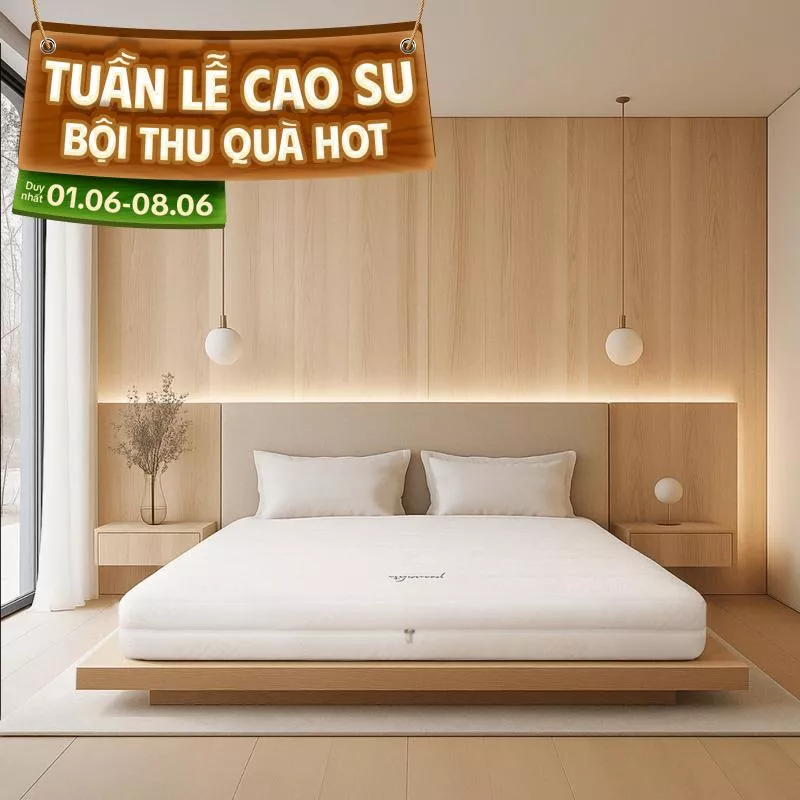 Nệm cao su cao cấp Gummi Legend nhập khẩu dày 20cm - Ảnh 2