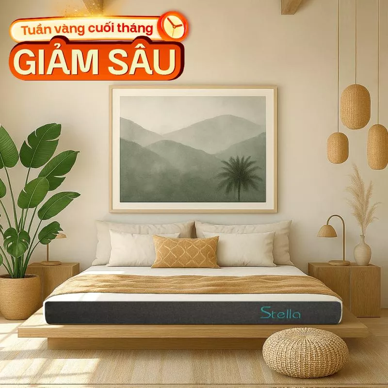 Nệm cao su đa tầng Kim Cương Stella dày 15cm - Ảnh 2