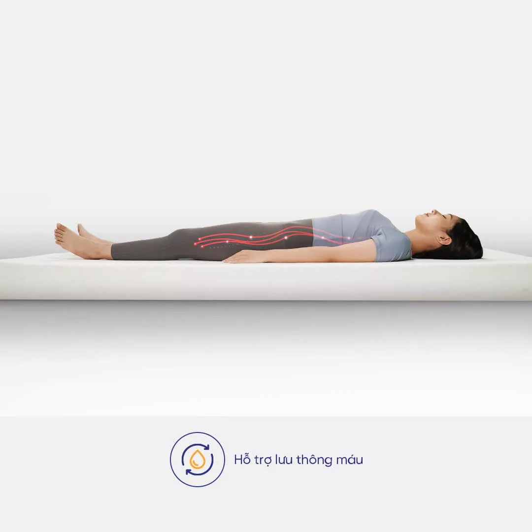 Nệm cao su đa tầng Kim Cương Stella dày 15cm - Ảnh 3