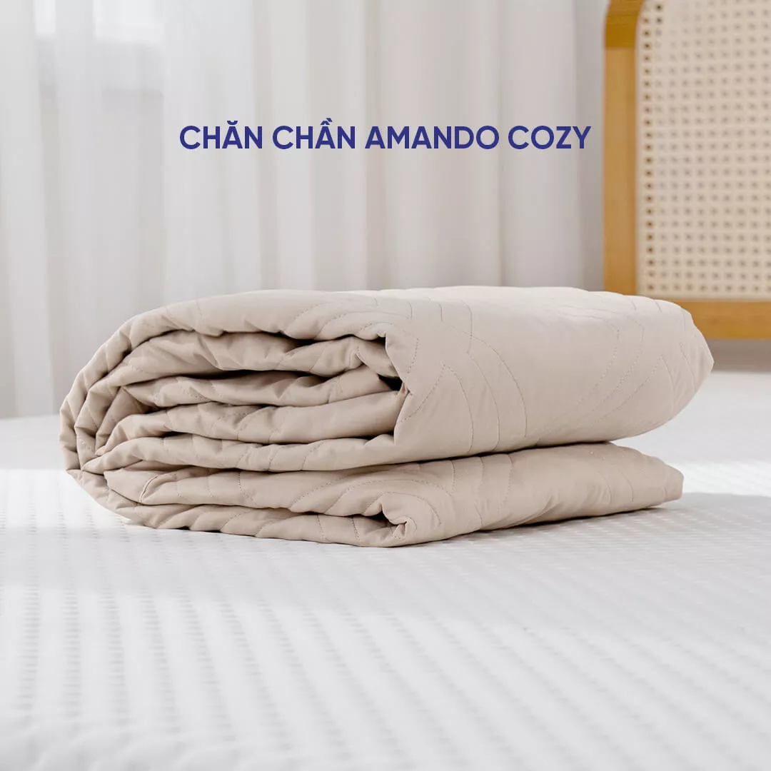 Chăn chần Microfiber Amando Cozy - Ảnh 9