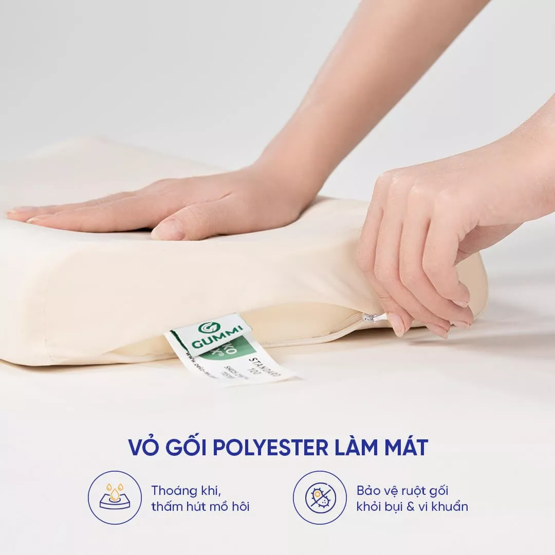 Gối cao su Gummi Pudding 100% thiên nhiên trẻ em - Ảnh 4
