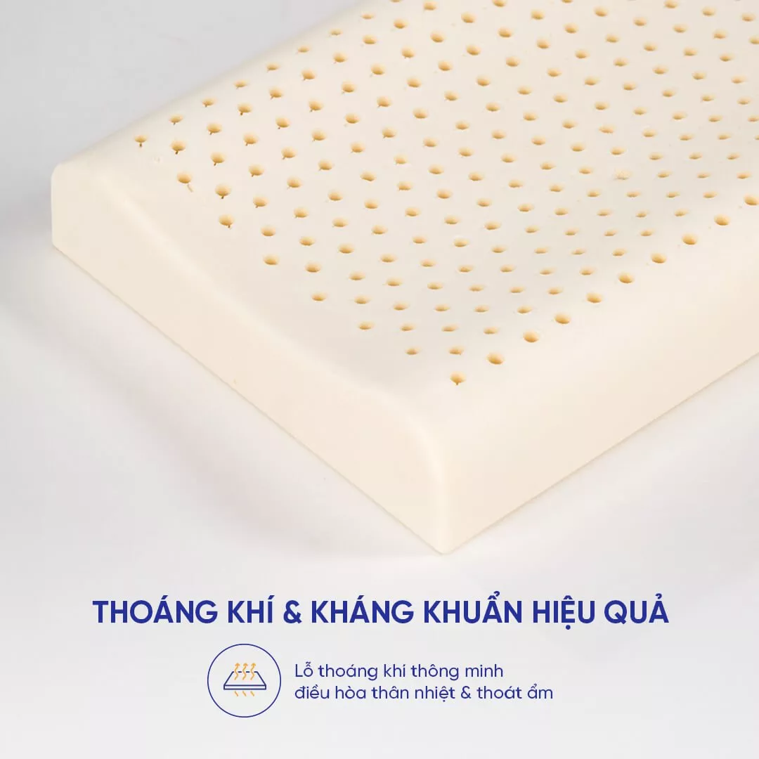 Gối cao su Gummi Pudding 100% thiên nhiên trẻ em - Ảnh 6