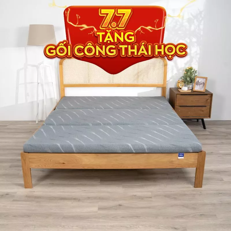 Nệm foam Goodnight Akita gấp 3 dày 8cm - Ảnh 2