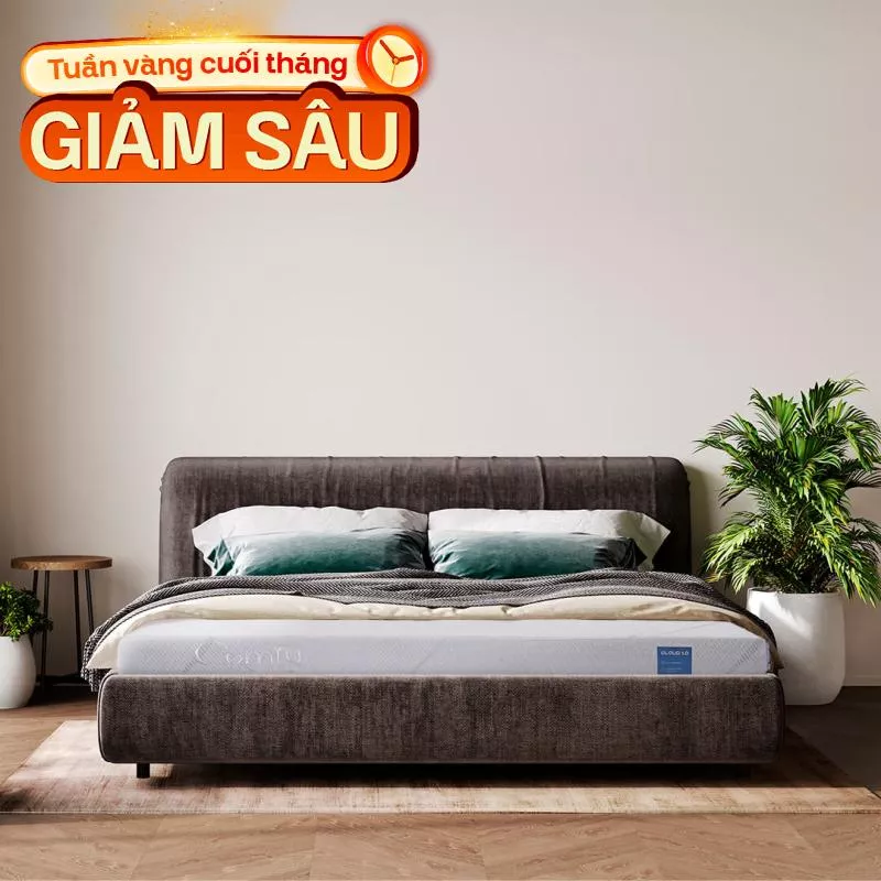 Nệm foam Comfy Cloud 1.0 thoáng khí vượt trội dày 12cm - Ảnh 2