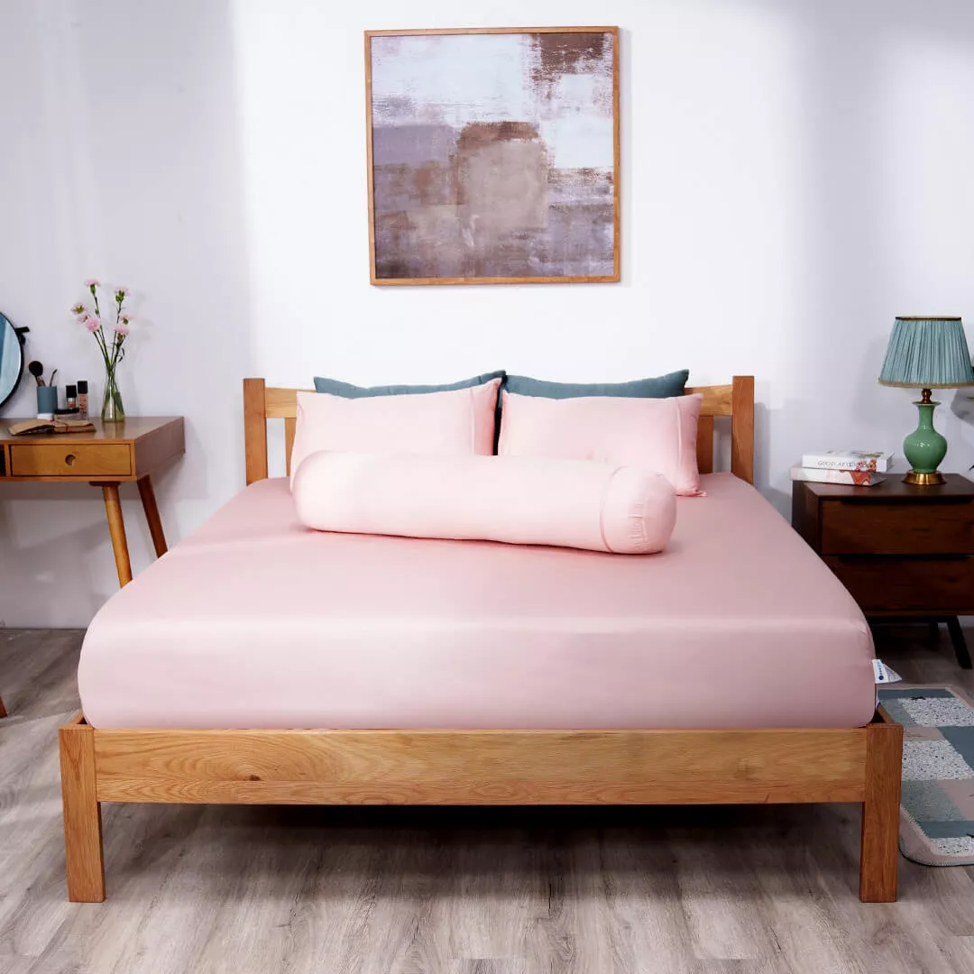 Bộ Ga chun Cotton satin AMD The Essentials Đơn Sắc 4 Chi Tiết CS002 - Ảnh 3