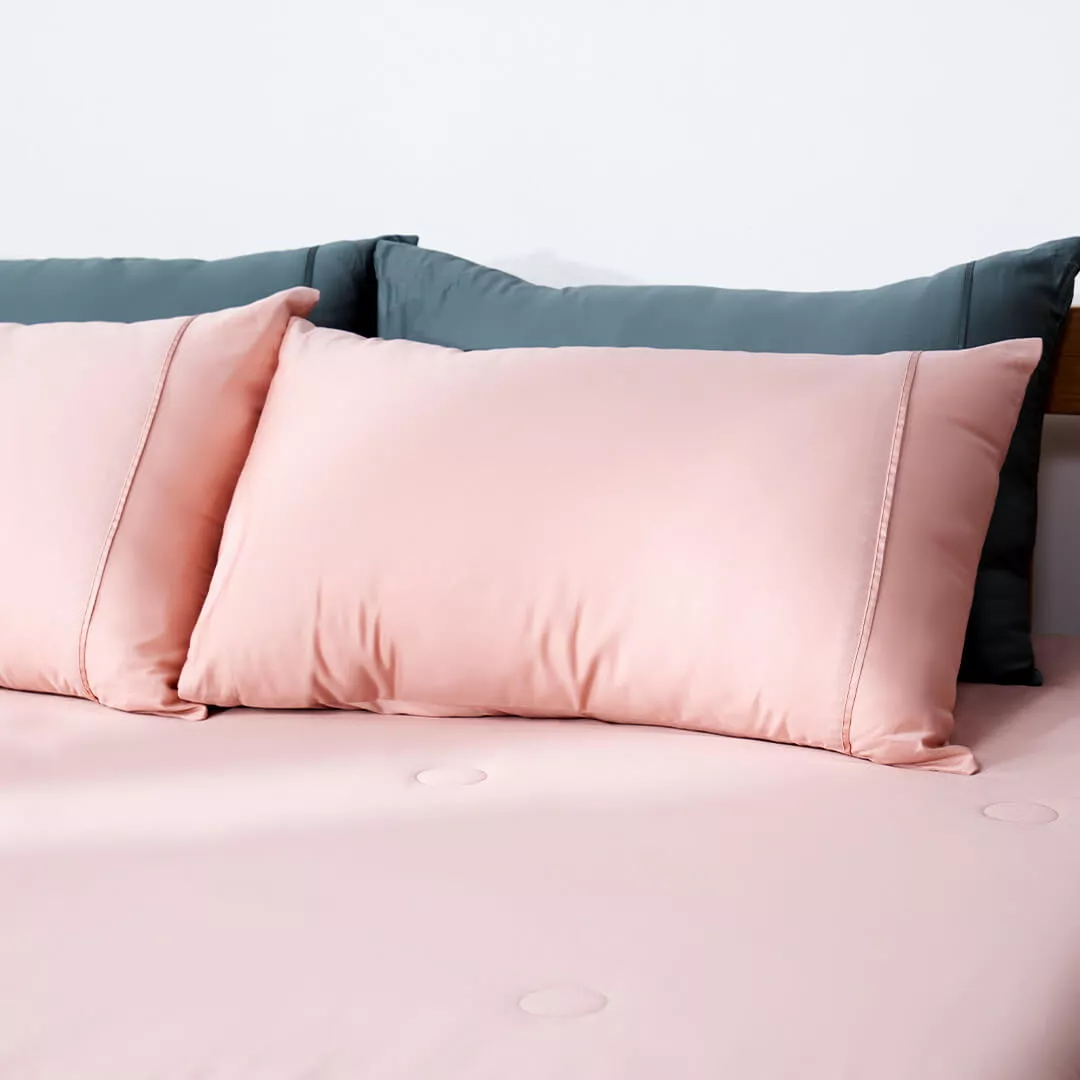Bộ Ga chun Cotton satin AMD The Essentials Đơn Sắc 4 Chi Tiết CS002 - Ảnh 7