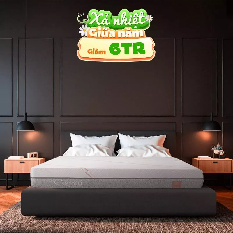 Nệm foam Comfy Lux 1.0 cao cấp kháng khuẩn kép dày 20cm - Ảnh 2