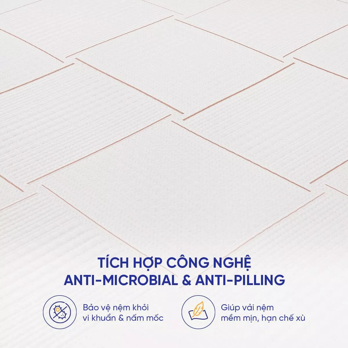Nệm foam Comfy Lux 2.0 cao cấp kháng virus dày 22cm - Ảnh 10