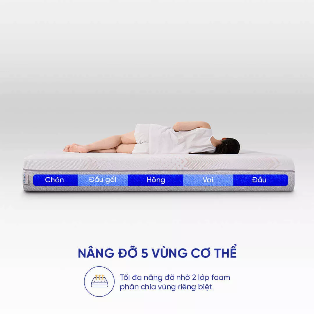 Nệm foam Comfy Lux 3.0 cao cấp tương thích toàn diện dày 25cm - Ảnh 8