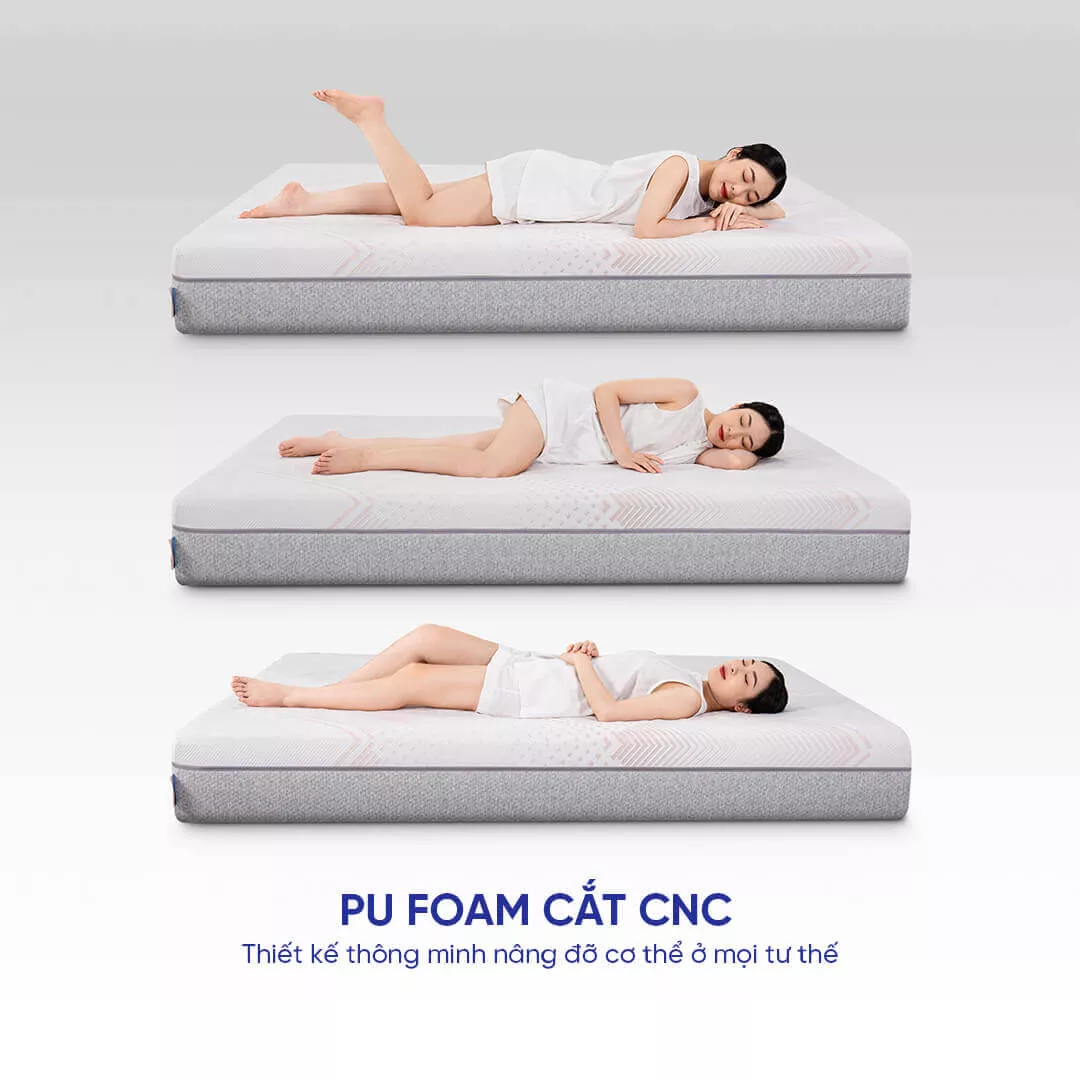 Nệm foam Comfy Lux 3.0 cao cấp tương thích toàn diện dày 25cm - Ảnh 7