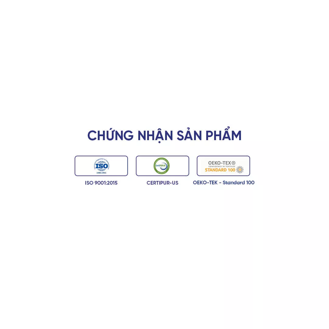 Nệm lò xo Spring Air Back Supporter Firm Plus nâng đỡ làm mát dày 26cm - Ảnh 14