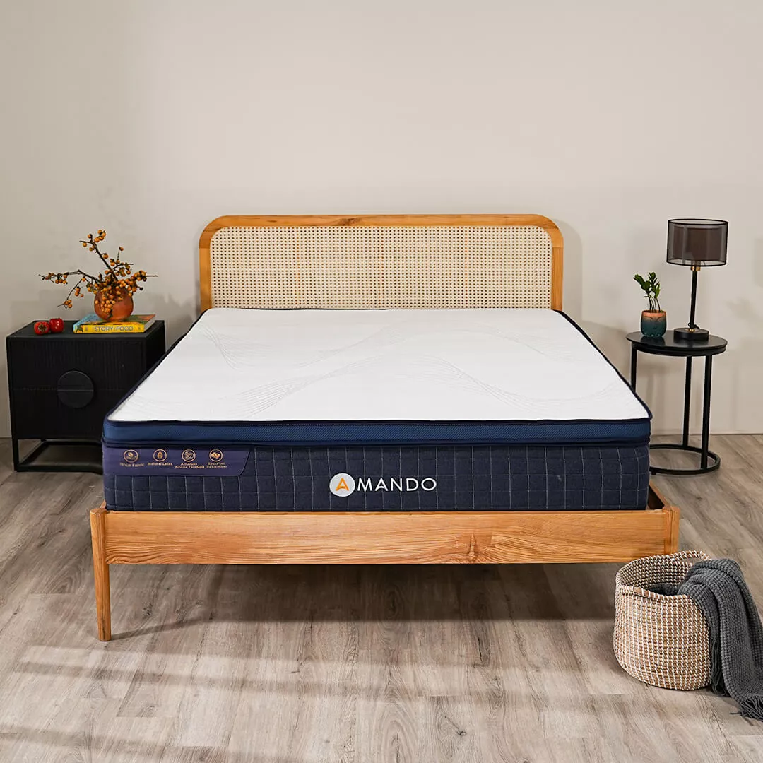 Nệm lò xo Amando Innovation 7 vùng linh hoạt dày 30cm - Ảnh 2