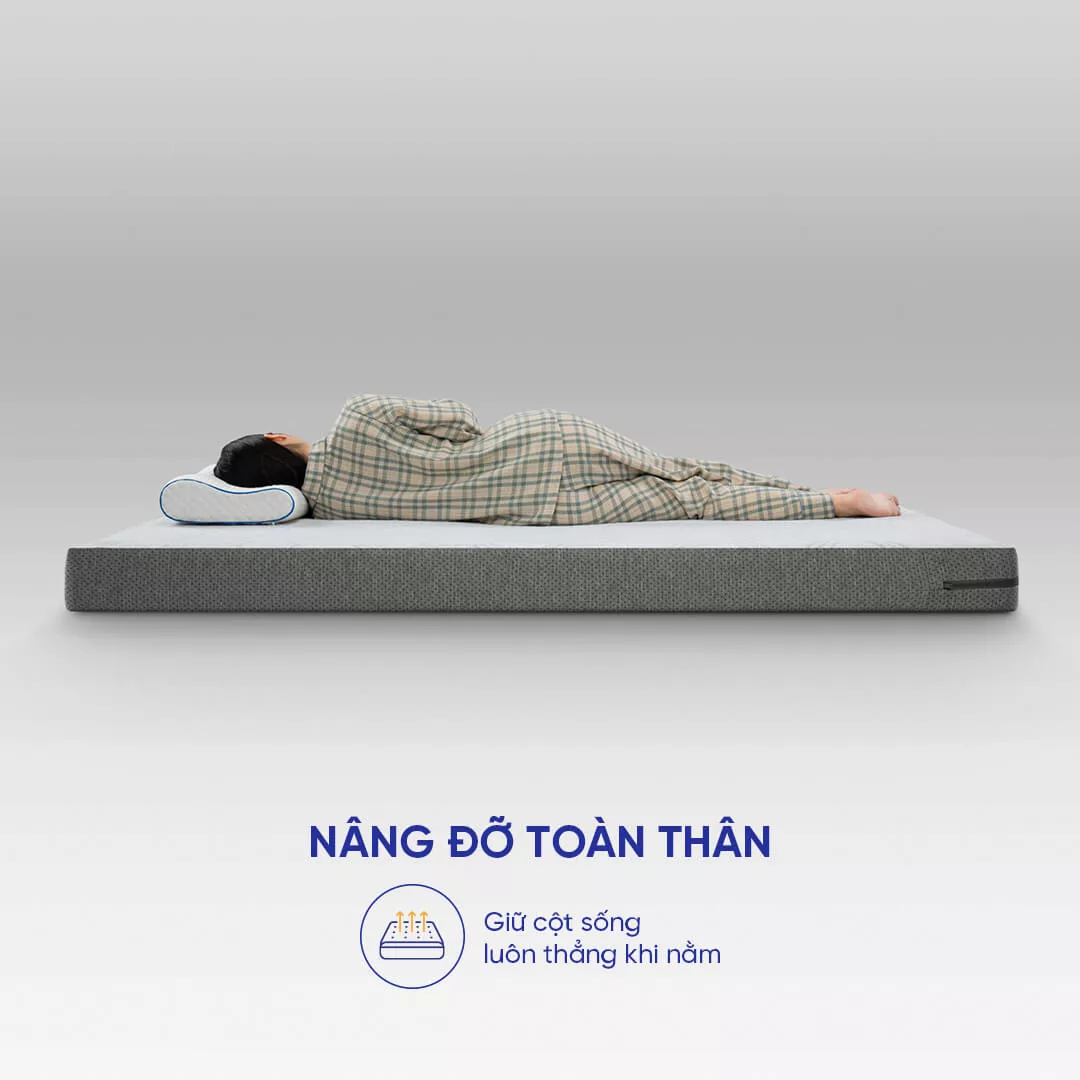 Nệm foam Goodnight Hachi giảm áp lực dày 15cm - Ảnh 7