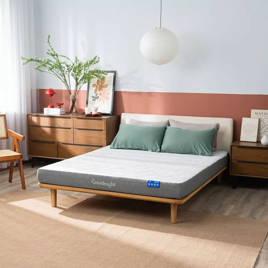Nệm foam Goodnight Hachi giảm áp lực dày 15cm - Ảnh 3