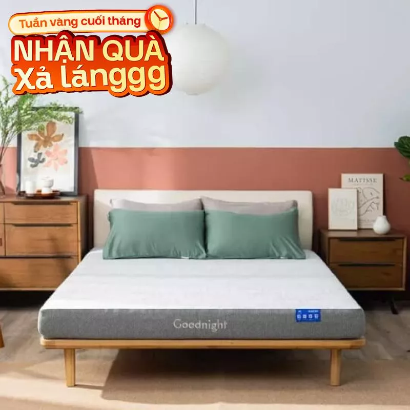 Nệm foam Goodnight Hachi giảm áp lực dày 15cm - Ảnh 2