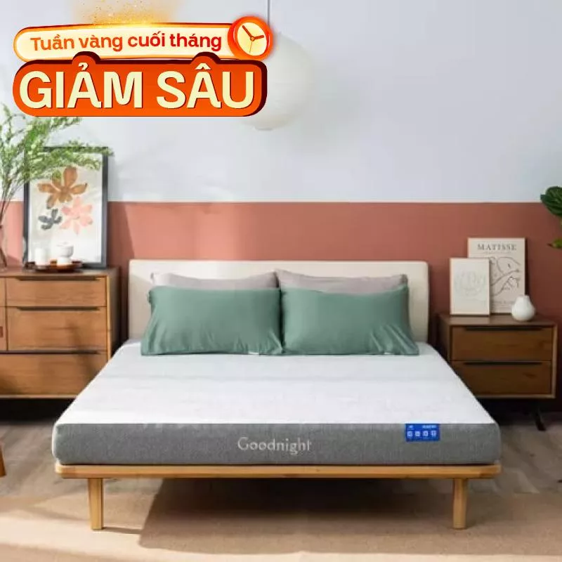 Nệm foam Goodnight Hachi giảm áp lực dày 15cm - Ảnh 2