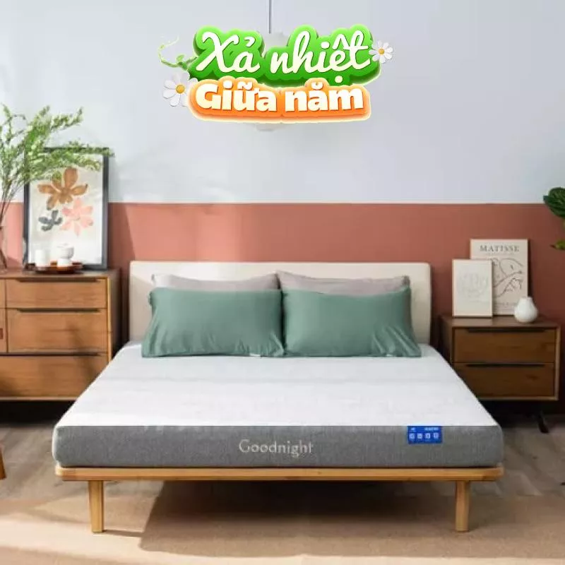 Nệm foam Goodnight Hachi giảm áp lực dày 15cm - Ảnh 2
