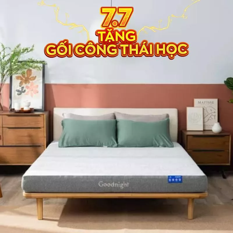 Nệm foam Goodnight Hachi giảm áp lực dày 15cm - Ảnh 3