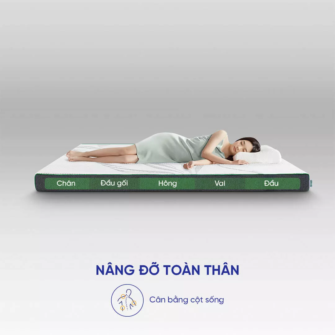 Nệm cao su thiên nhiên Gummi Premium detox giấc ngủ dày 10cm - Ảnh 6