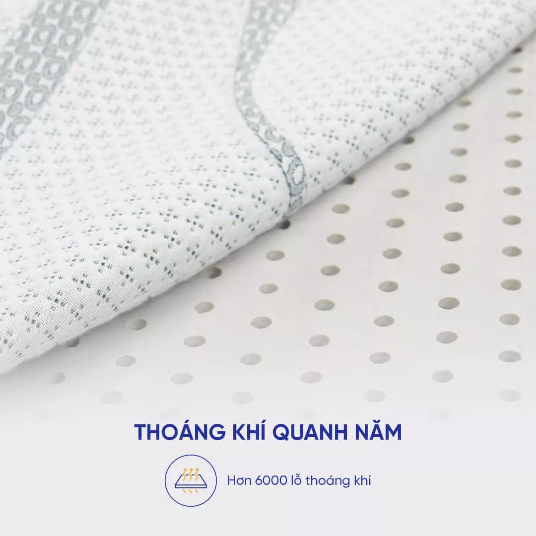 Nệm cao su thiên nhiên Gummi Premium detox giấc ngủ dày 10cm - Ảnh 9