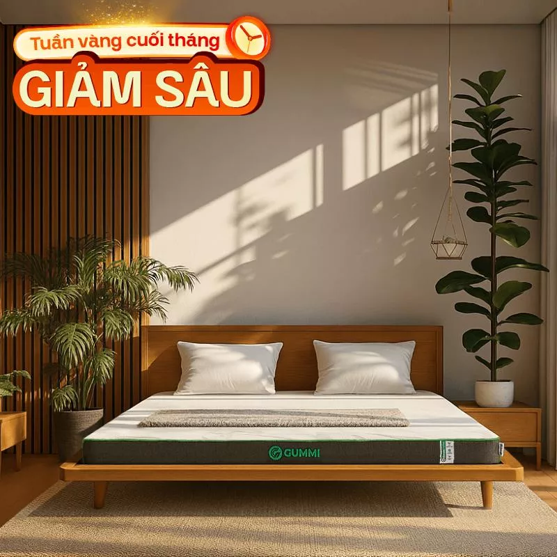 Nệm cao su thiên nhiên Gummi Premium detox giấc ngủ dày 10cm - Ảnh 2