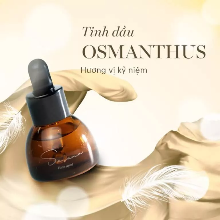 Tinh dầu Sasana Osmanthus - Ảnh 2