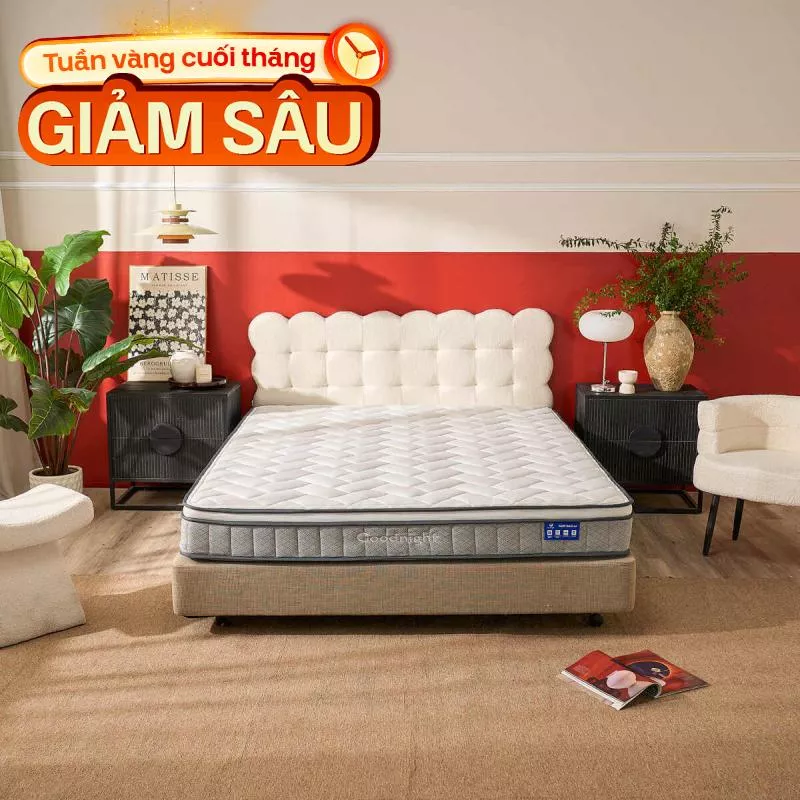 Nệm lò xo Goodnight Sleep Wave giảm tiếng ồn dày 20cm - Ảnh 2