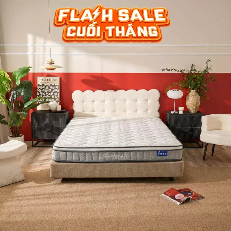 Nệm lò xo Goodnight Sleep Wave giảm tiếng ồn dày 20cm - Ảnh 2