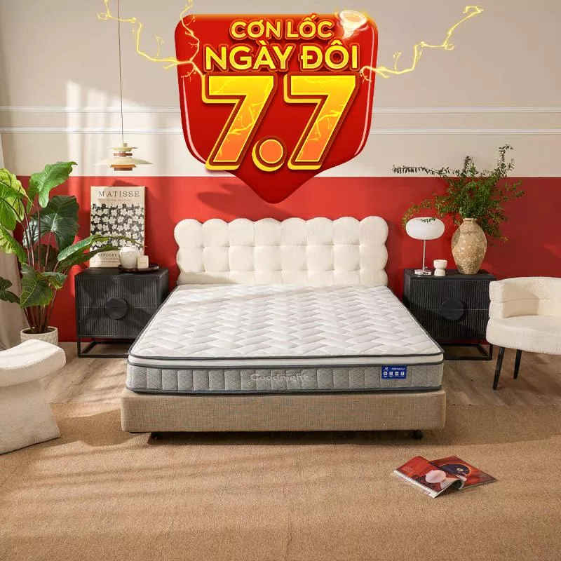 Nệm lò xo Goodnight Sleep Wave giảm tiếng ồn dày 20cm - Ảnh 2