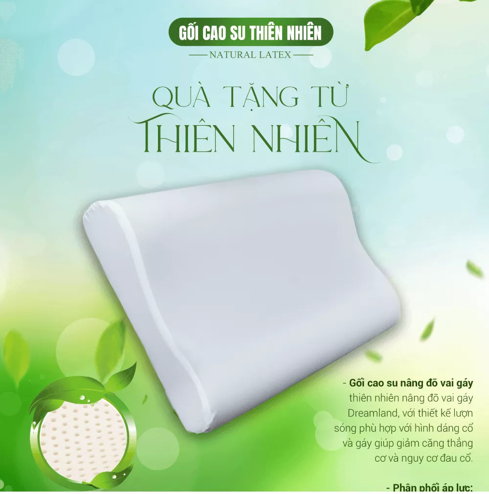 Gối Cao su Dreamland nâng đỡ vai gáy - Ảnh 2